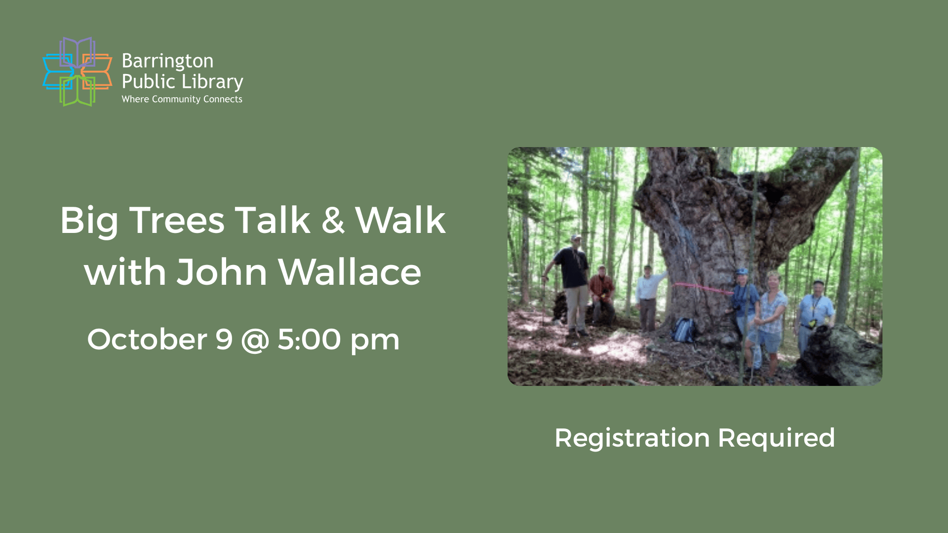 big trees talk & walk (presentation)