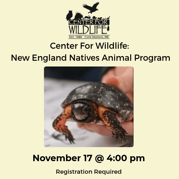 center for wildlife new england natives animal program (350 x 350 px)
