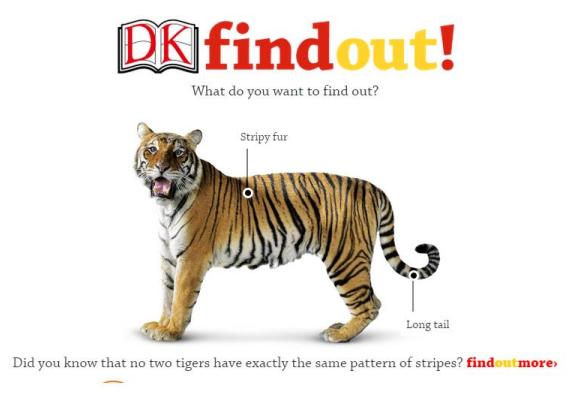 findout front page (1)