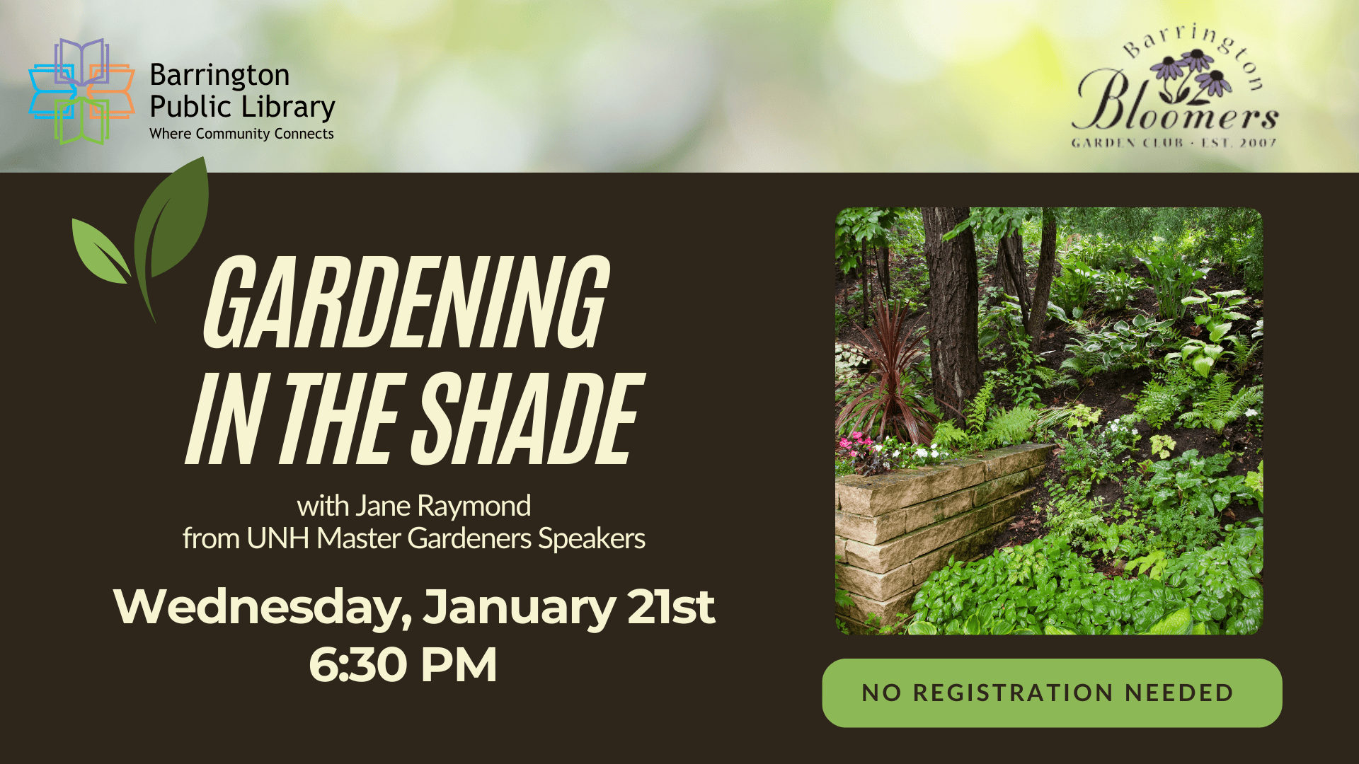gardening in the shade (presentation)