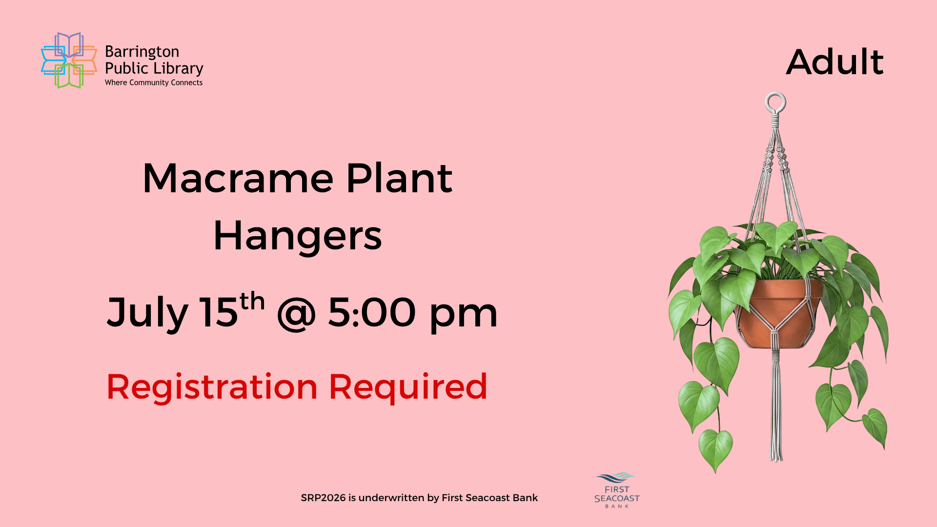 macrame plant hangers (presentation)