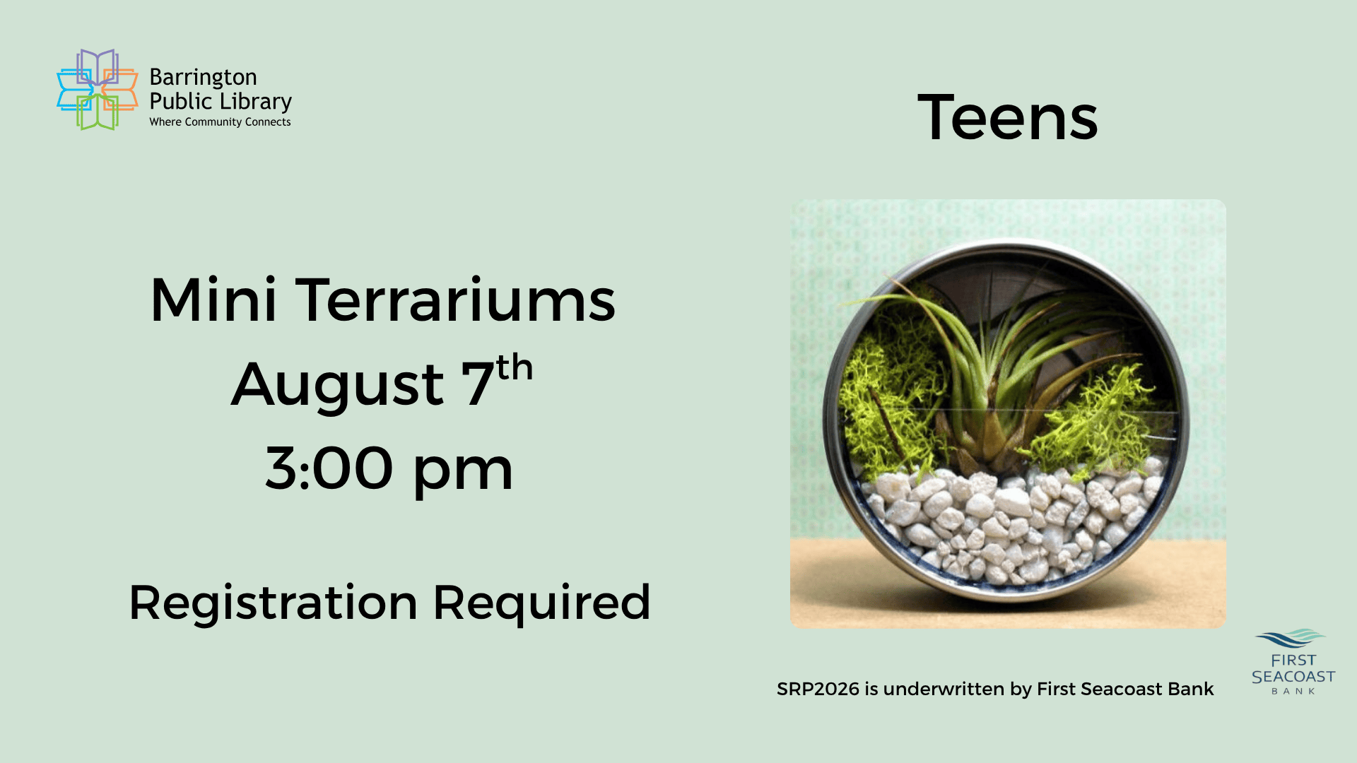 mini terrariums (presentation) (1)