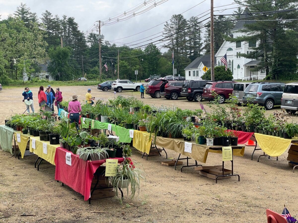 plant sale